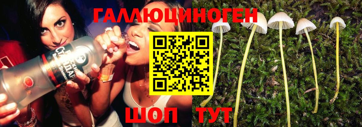 Псилоцибиновые грибы GOLDEN TEACHER  Псилоцибиновые грибы Psilocybe  Вход с VPN  Гагарин 