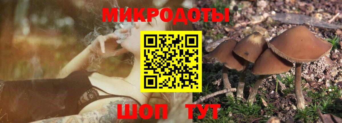 Галлюциногенные грибы Cubensis Гагарин